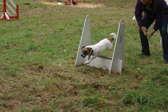 foire-haricots 2011-09-17et18